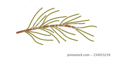 Flat cardboard pine branch ornament with green decoration in holiday style. Christmas plant accent for winter gift or kraft box. Simple graphic decor uses branch and ornament for seasonal Flat cardboard pine branch ornament with green decoration in holiday style. Christmas plant accent for winter gift or kraft box. Simple graphic decor uses branch and ornament for seasonal 134053239