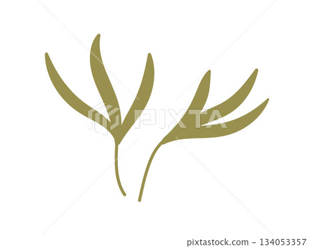 Flat green mistletoe craft ornament in minimal style. Green branch and ornament as christmas decoration, party accent or gift box decor. Simple holiday graphic for festive design. Flat green mistletoe craft ornament in minimal style. Green branch and ornament as christmas decoration, party accent or gift box decor. Simple holiday graphic for festive design. 134053357