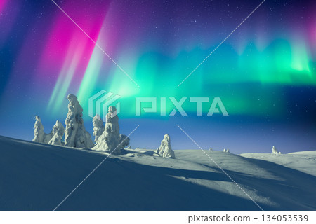 Vivid Aurora Borealis over snowy mountains 134053539