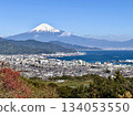 View of Shimizu Port and Mt. Fuji from Nihon-daira 134053550