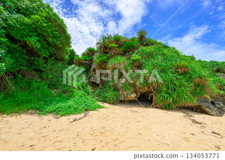 The tranquil seaside scenery of Ishigaki Island, with a beautiful contrast between the blue sky and greenery 134053771