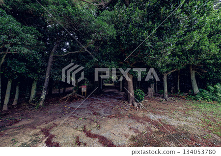 The sacred landscape of Gunsei Utaki on Ishigaki Island, where nature and faith coexist in harmony 134053780