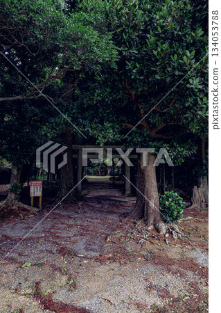 石垣島上的群星宇瀧，是一處自然與信仰和諧共存的神聖之地。 134053788