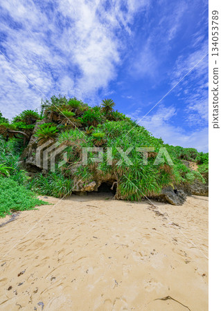 石垣島寧靜的海濱景色,藍天與綠樹交相輝映,美不勝收。 石垣島寧靜的海濱景色,藍天與綠樹交相輝映,美不勝收。 134053789
