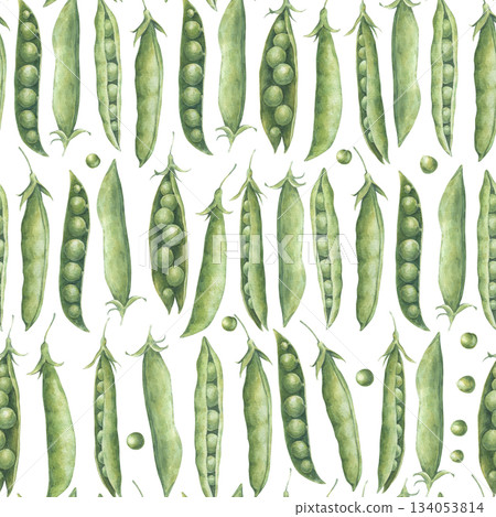 Seamless pattern with green peas pods and seeds, arranged in rows. Hand-drawn watercolor illustration isolated on white background. Perfect for designing packaging, wrapping paper, textiles, and more 134053814