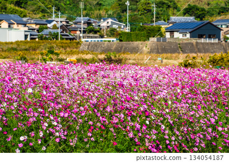 飯守町田由衣 [長崎縣諫早市] 134054187