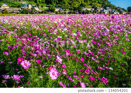 飯守町田由衣 [長崎縣諫早市] 134054201