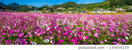 飯守町田由衣的《宇宙全景》[長崎縣諫早市] 134054239