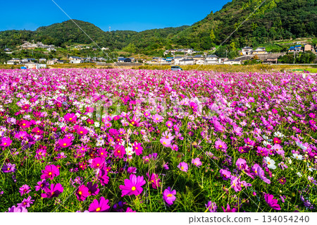 飯守町田由衣 [長崎縣諫早市] 134054240