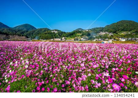飯守町田由衣 [長崎縣諫早市] 134054241