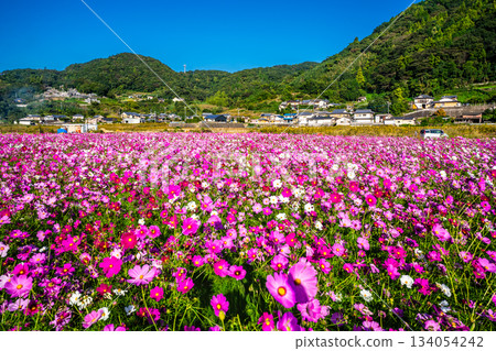 飯守町田由衣 [長崎縣諫早市] 134054242