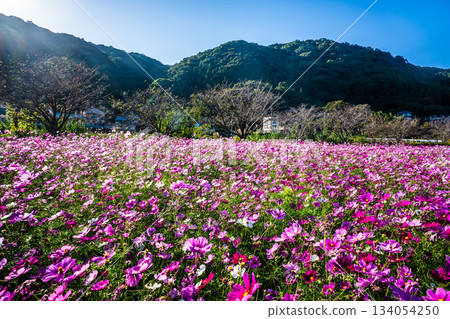 飯守町田由衣 [長崎縣諫早市] 134054250