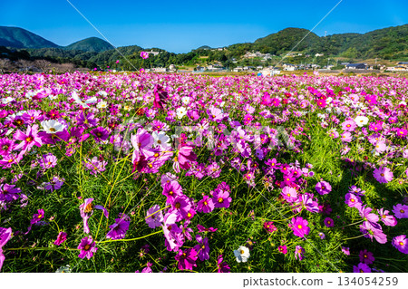 飯守町田由衣 [長崎縣諫早市] 134054259