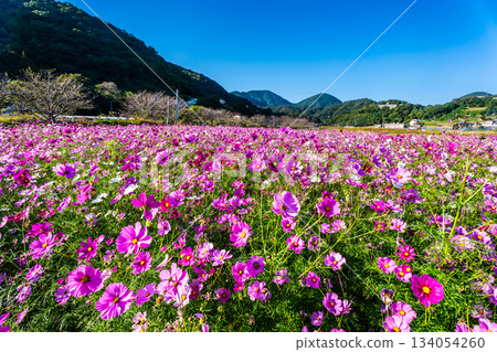 飯守町田由衣 [長崎縣諫早市] 134054260