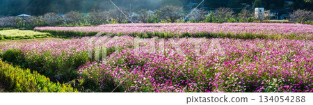 飯守町田由衣的《宇宙全景》[長崎縣諫早市] 134054288