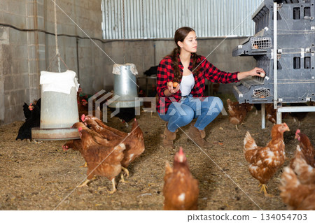 Woman farmer working in henhouse, collecting eggs Woman farmer working in henhouse, collecting eggs 134054703