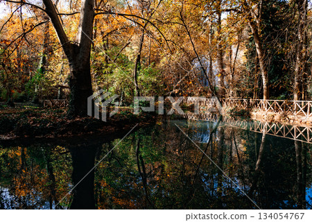 Wooden bridge and reflections in the water at Monasterio de Piedra, Spain 134054767