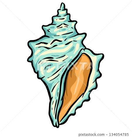 Hand drawn clipart illustration of seashell shell mollusc seaside shellfish Hand drawn clipart illustration of seashell shell mollusc seaside shellfish 134054785