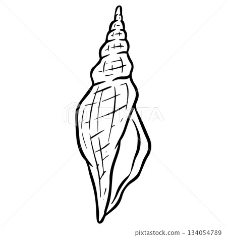 Hand drawn clipart illustration of seashell shell mollusc seaside shellfish Hand drawn clipart illustration of seashell shell mollusc seaside shellfish 134054789