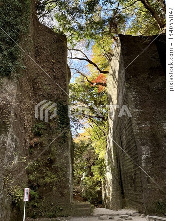 鋸山秋葉 134055042