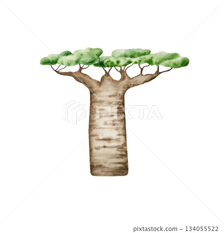 Baobab tree. African savanna and prehistoric clipart. Watercolor hand drawn dino, floral jungle illustration isolated on background. For designers, postcards, greetings, birthday, calendar, wallpapers Baobab tree. African savanna and prehistoric clipart. Watercolor hand drawn dino, floral jungle illustration isolated on background. For designers, postcards, greetings, birthday, calendar, wallpapers 134055522