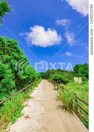 The subtropical scenery of Ishigaki Island, with its vibrant blue sky and green paths The subtropical scenery of Ishigaki Island, with its vibrant blue sky and green paths 134055594