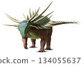 Spicomellus 134055637