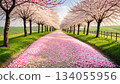 春之夢：櫻花盛開的道路兩旁，鋪滿了浪漫的花毯。 134055956