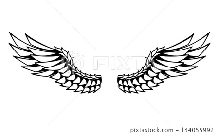 Wings sketch. Stylized birds wings. Hand drawn contoured stiker wing in open position. Vector design elements in coloring style Wings sketch. Stylized birds wings. Hand drawn contoured stiker wing in open position. Vector design elements in coloring style 134055992