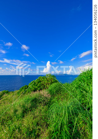 A spectacular view of the blue sky and blue sea at Manzamo in Okinawa 134056216