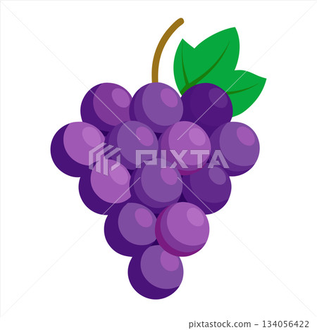 Cartoon illustration of a bunch of purple grapes with green leaves Cartoon illustration of a bunch of purple grapes with green leaves 134056422