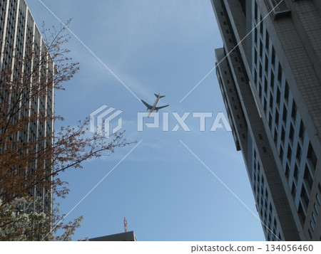 Cherry Blossoms Airplane Cherry Blossoms Airplane 134056460