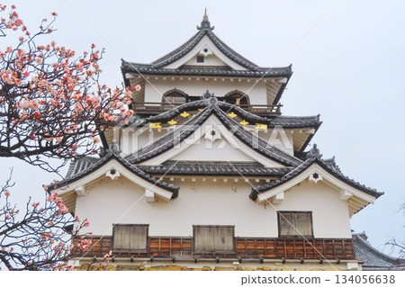 [Shiga Prefecture] Hikone Castle 134056638