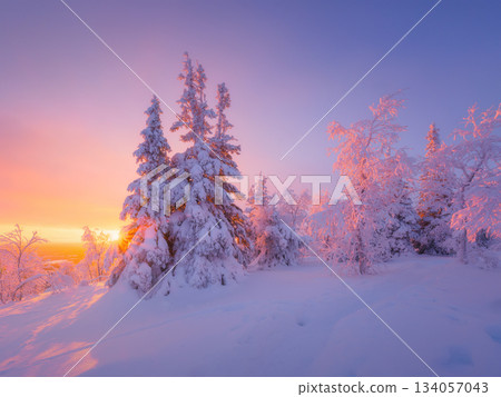 Nature in the north. Snowdrifts with fluffy snow. Winter wonderland. 134057043