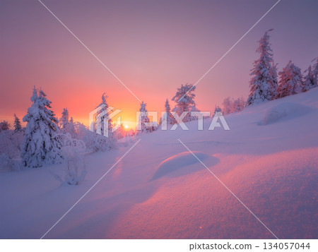 Nature in the north. Snowdrifts with fluffy snow. Winter wonderland. Trees covered with snow. 134057044