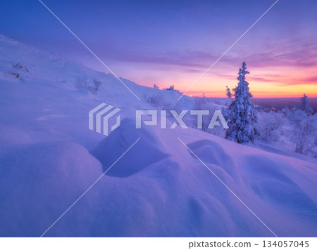 Nature in the north. Snowdrifts with fluffy snow. Winter wonderland. Trees covered with snow. 134057045