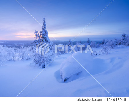 Nature in the north. Snowdrifts with fluffy snow. Winter wonderland. Trees covered with snow. Nature in the north. Snowdrifts with fluffy snow. Winter wonderland. Trees covered with snow. 134057046