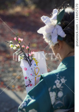 Shichigosan girl 134057170