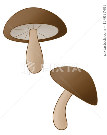 Shiitake mushroom 134057495