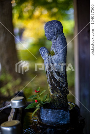 鎌倉 251124 安國論寺 1 黃葉 鎌倉 251124 安國論寺 1 黃葉 134057506