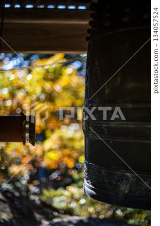 Zushi 251126 Jinmu-ji Temple 4 Yellow leaves and bells 134057524