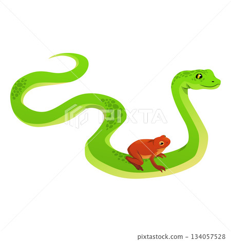 Green spotty snake with frog, cartoon exotic pet reptiles, vector flat wild amphibian animals, crawling viper serpent 134057528