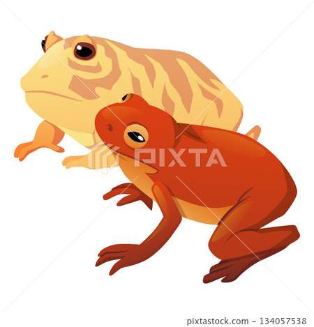 Red frog and yellow striped toad icon, terrarium pet. Red frog and yellow striped toad icon, terrarium pet. 134057538