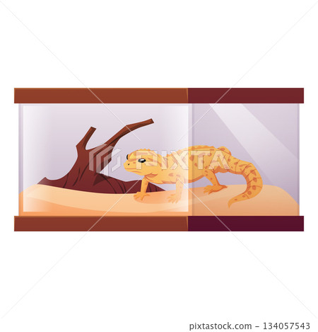 Guana on branch in the terrarium, cartoon lizard chameleon, vector flat exotic pet reptile animal, crawling mammal 134057543