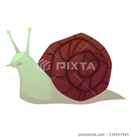 Snail with spiral shell, cartoon cochlea insect, exotic pet animal, vector flat terrarium and aquarium animal Snail with spiral shell, cartoon cochlea insect, exotic pet animal, vector flat terrarium and aquarium animal 134057565