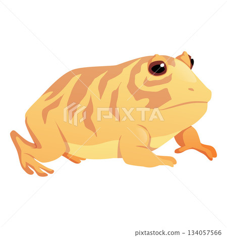 Cute orange frog, cartoon toad is sitting, vector flat illustration of exotic pet reptile, amphibian animal side view 134057566