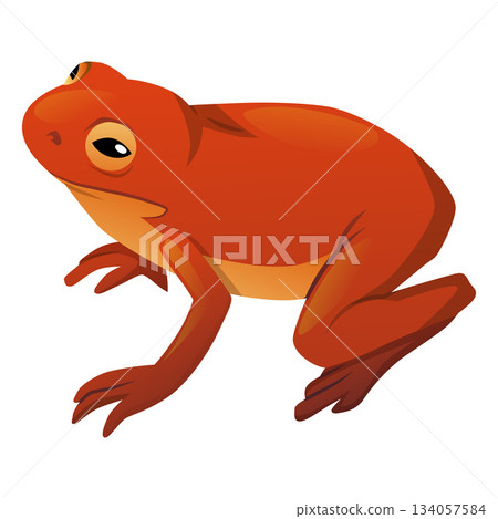 Cartoon red frog, exotic animal, isolated icon. Fauna, wildlife, zoology. Cartoon red frog, exotic animal, isolated icon. Fauna, wildlife, zoology. 134057584