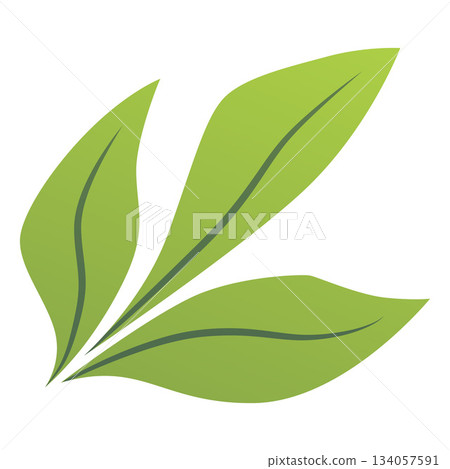 Green leaves vector icon, botanical floral decoration element isolated, natural fresh fragrant herb tea flavor foliage Green leaves vector icon, botanical floral decoration element isolated, natural fresh fragrant herb tea flavor foliage 134057591
