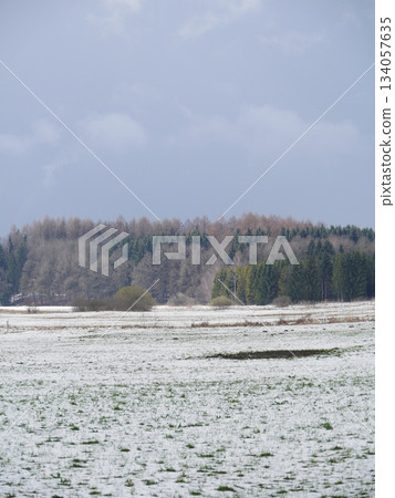 Snowy field with trees in the background Snowy field with trees in the background 134057635
