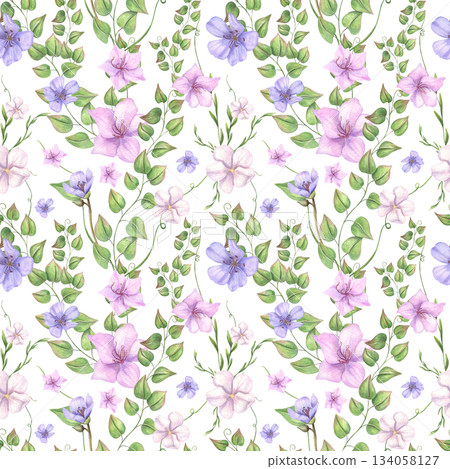 Pink and blue bindweed flowers with curling green leaf branches watercolor seamless pattern on isolated background. Spring floral ornate for wedding invitations, textile and wallpaper printing. 134058127